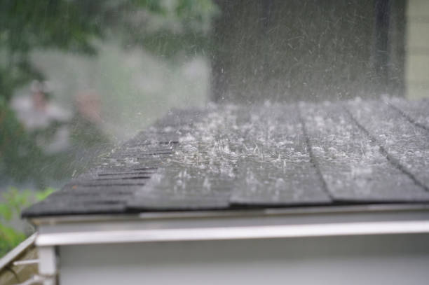 Best Roof Inspection  in Cornersville, TN